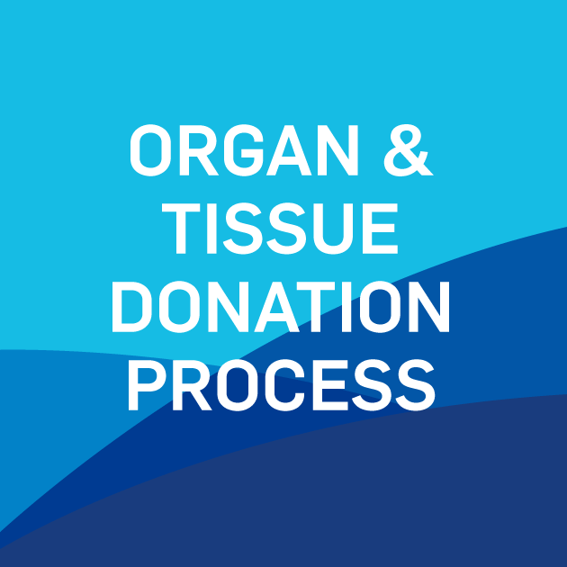 Organ and Tissue graphic 630 x 630 Thumbnail