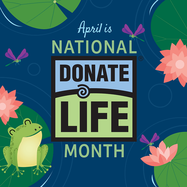 April is National Donate Life Month. Picture of a frog sitting on a lily pad.