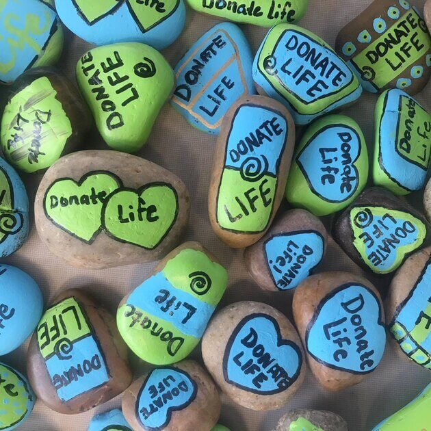 Rocks painted with the Donate Life logo on them