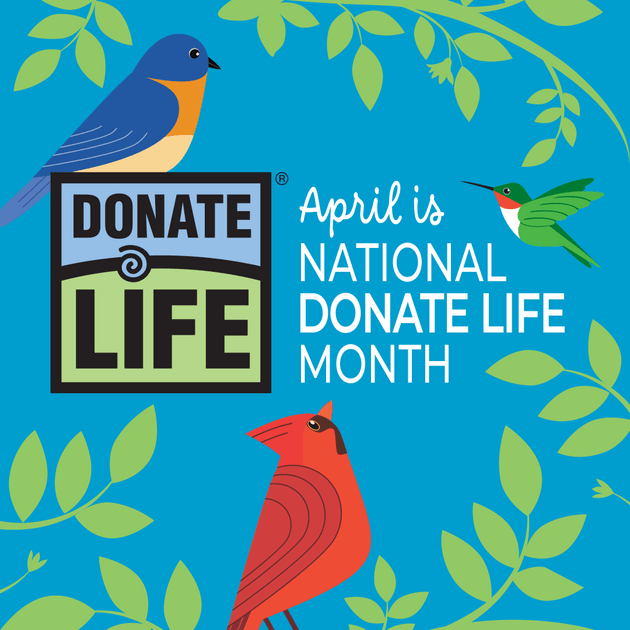 Green tree leaves on a bright blue background. A blue bird, a cardinal, and a hummingbird surround text that reads "April is National Donate Life Month" - The Donate Life logo is on the left and the blue bird is sitting on it.