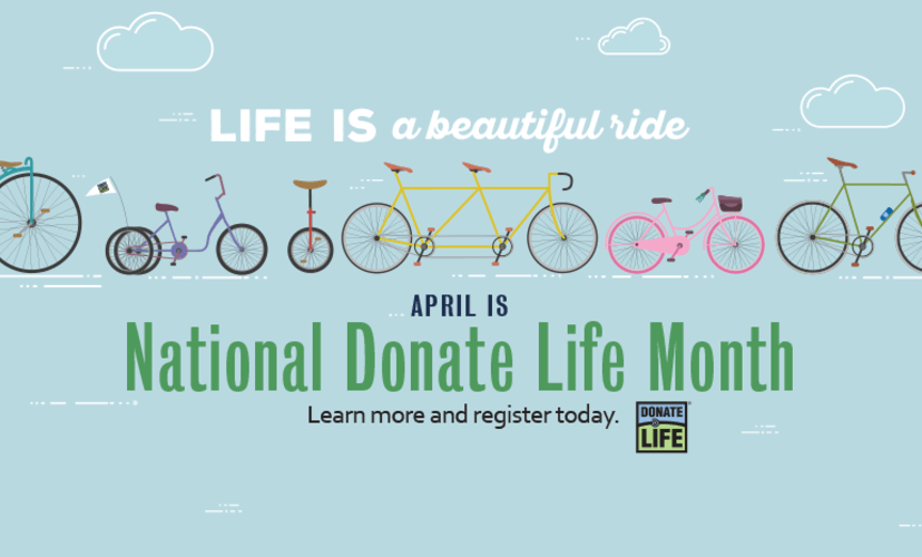 The 2019 National Donate Life Month (NDLM) art was inspired by bicycles and the phrase, “Life is a beautiful ride.” Bicycles serve as a symbol of progress, renewal and the moving circle of life. We each carry the potential to help make life a beautiful ride for ourselves, and then for others by registering as a donor, considering living donation, being a caregiver and championing the Donate Life cause.  
