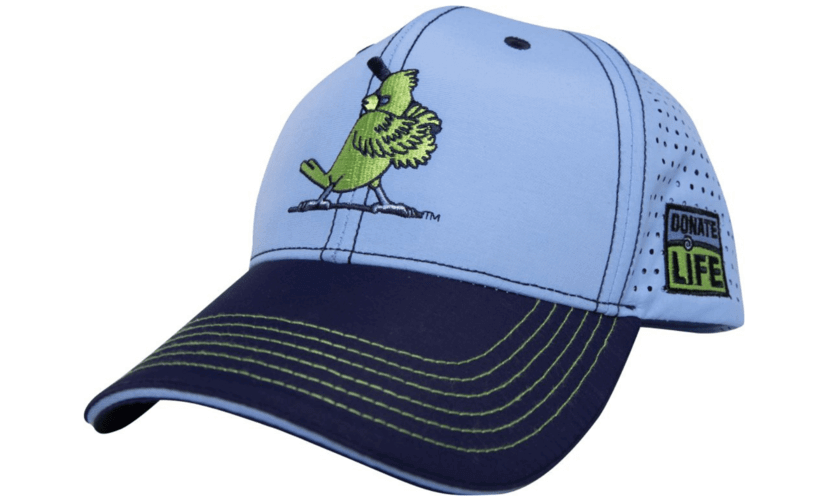 The 2024 Donate Life Day game promo hat. Light blue with dark blue brim. Features a green cardinal holding a baseball bat.