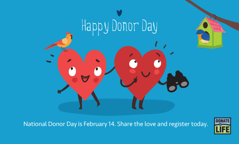Two anthropomorphic hearts go bird watching. A bird lands on one heart shape and the other heart shape is holding binoculars and admiring a bluebird sitting in a birdhouse.