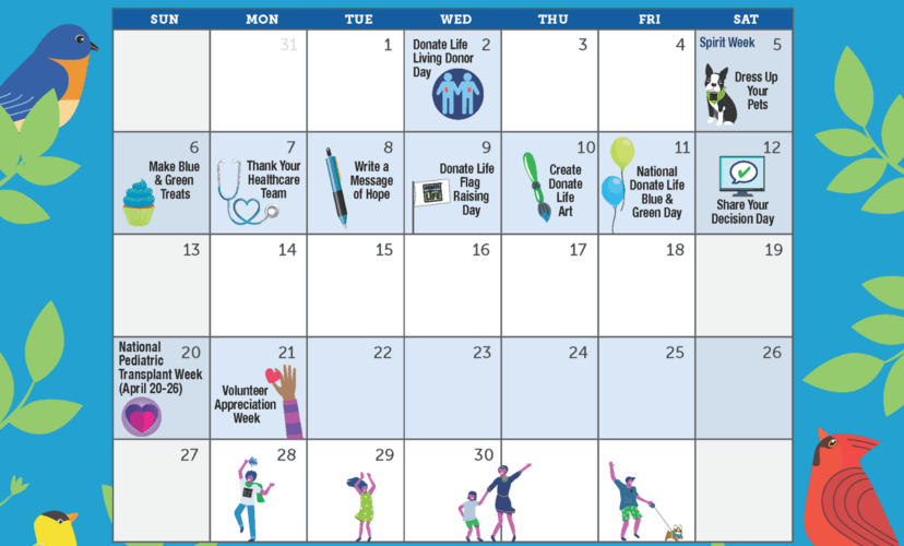 Calendar featuring special dates for National Donate Life Month