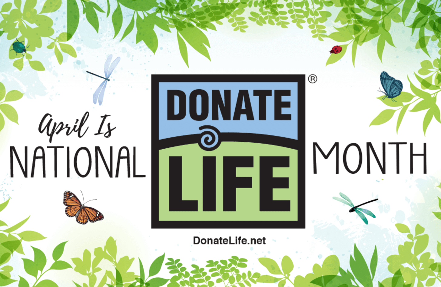 2020 Donate Life Month artwork, the scene of a garden with flowers and butterflies.