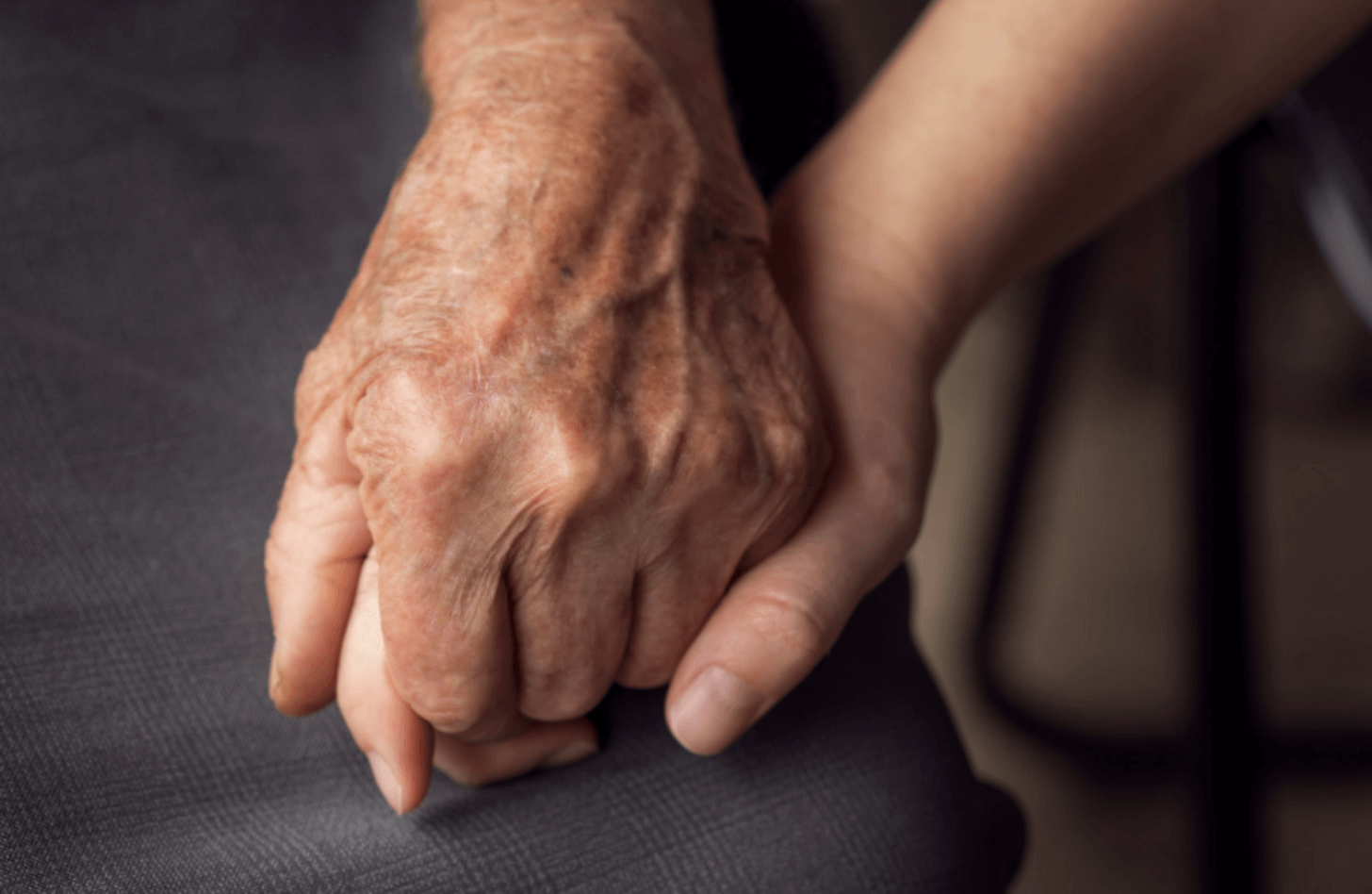 An elderly hand holding a young hand
