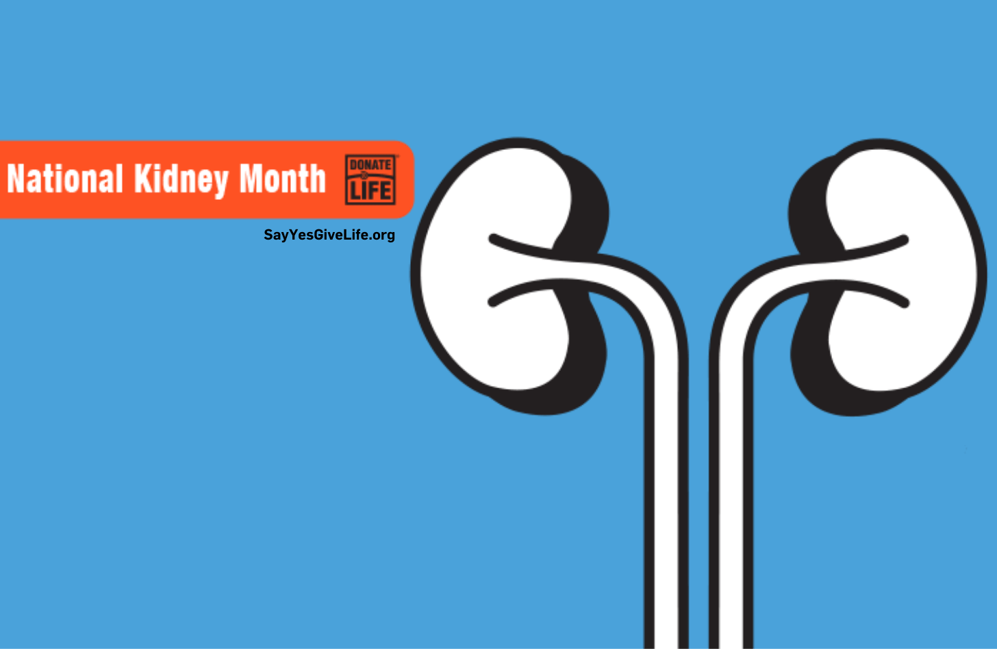 National Kidney Month